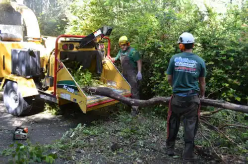 tree services Blue River